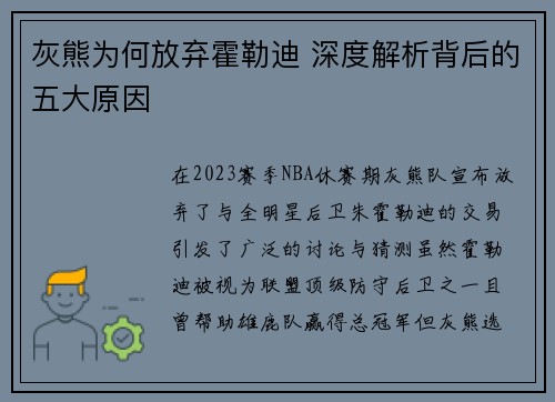 灰熊为何放弃霍勒迪 深度解析背后的五大原因